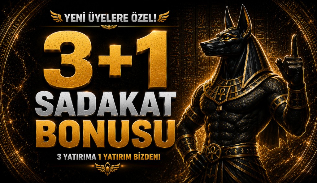 Ana sayfa promosyon bannerı